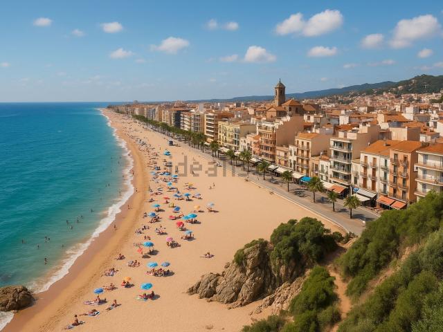 Local, Calella