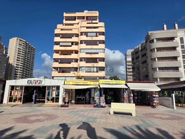 Local, Calpe