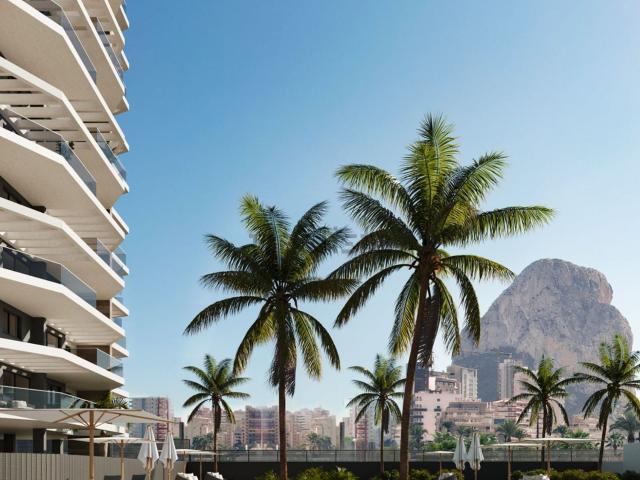 Local, Calpe