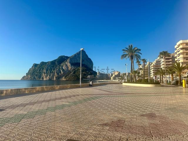 Local, Calpe