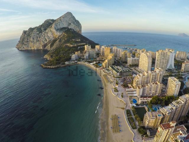 Local, Calpe