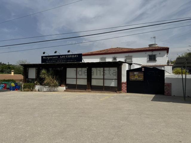 Local, Cártama