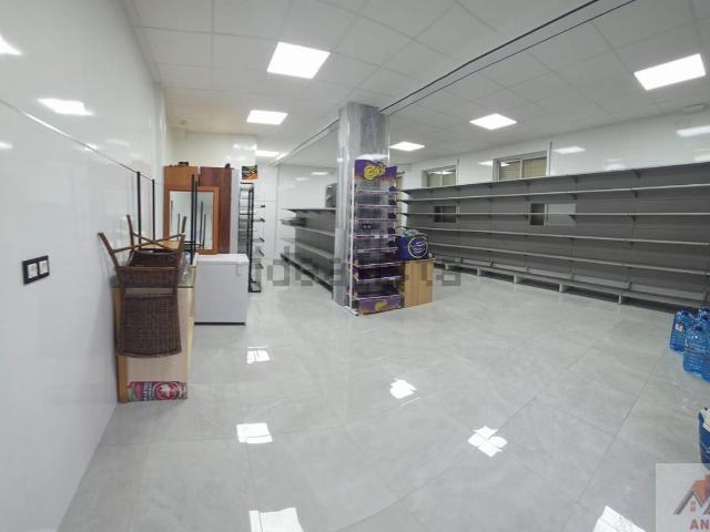 Local, Carolinas Altas, Alicante / Alacant