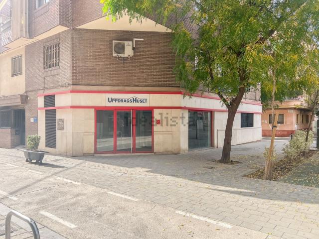 Local, Carolinas Bajas, Alicante / Alacant