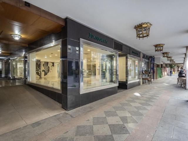 Local, Carrera de la Virgen Paseo del Salón, Granada