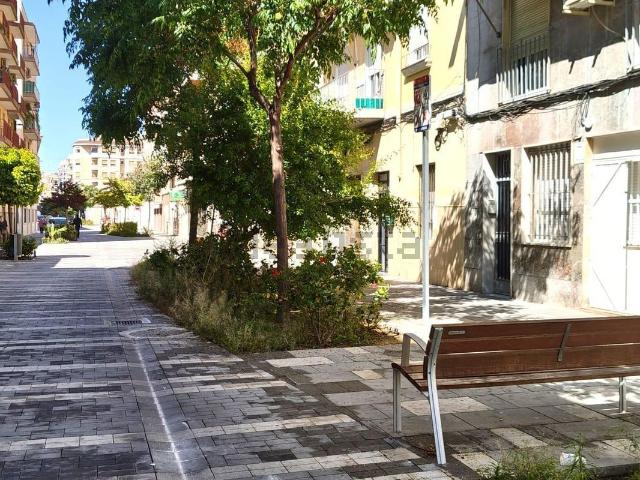 Local, Carrús Este, Elche / Elx