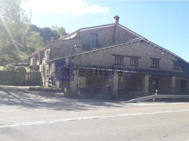 Local, Castañar de Ibor