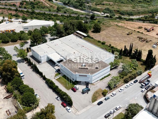 Local, Castellbisbal