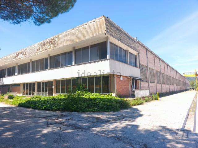 Local, Castellgalí