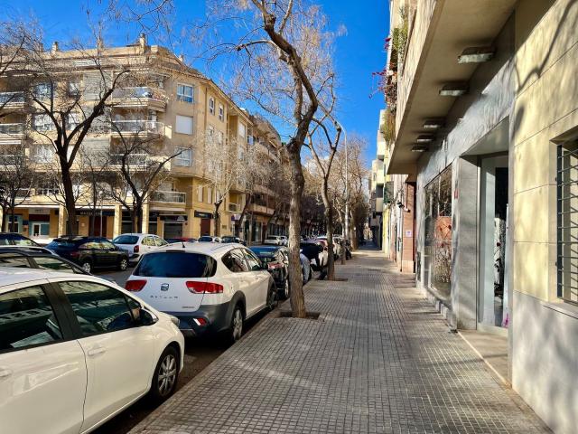 Local, Cas Capiscol, Palma de Mallorca