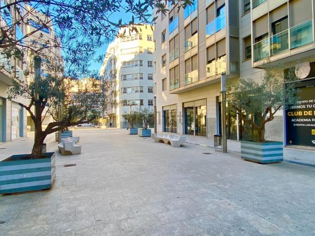Local, Centro, Elche / Elx