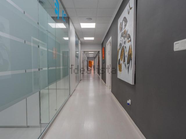 Local, Centro, Elche / Elx