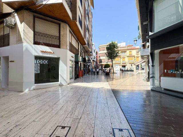 Local, Centro, Elche / Elx
