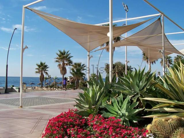 Local, Centro, Estepona