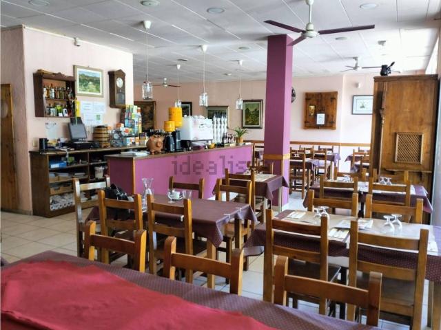 Local, Centro, Mont Roig del Camp