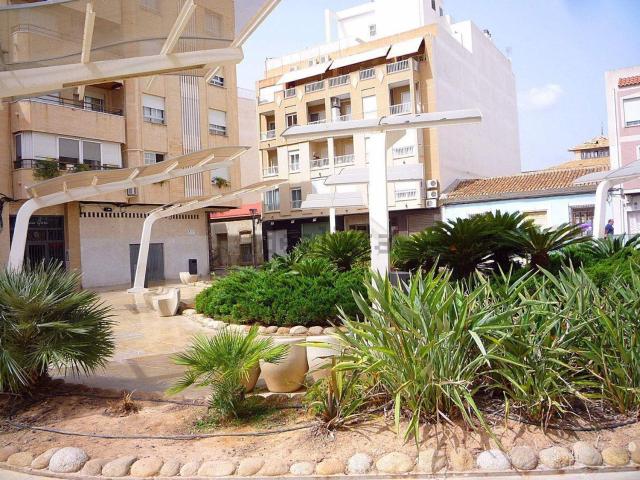 Local, Centro Muelle Pesquero, Torrevieja