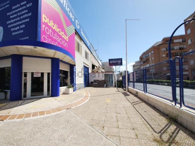 Local, Centro Muelle Pesquero, Torrevieja
