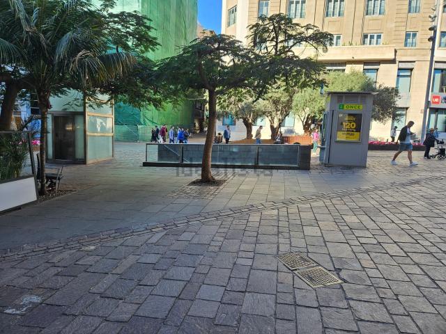 Local, Centro, Santa Cruz de Tenerife