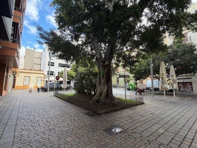Local, Centro, Santa Cruz de Tenerife