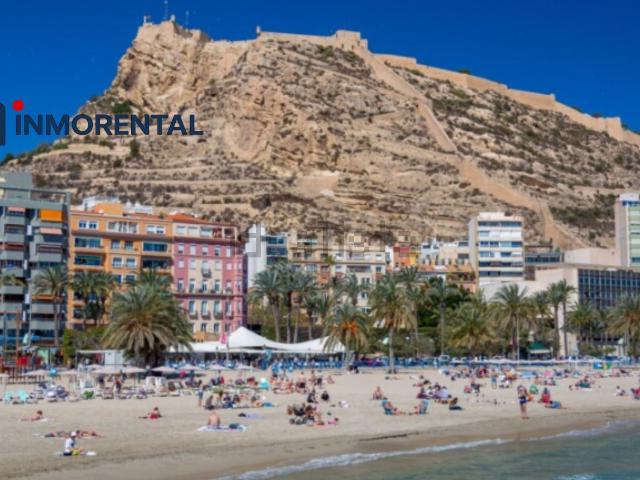 Local, Centro Tradicional, Alicante / Alacant