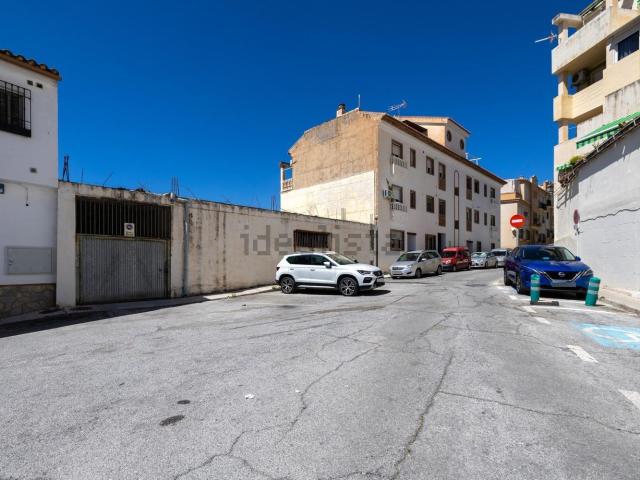 Local, Cenes de la Vega