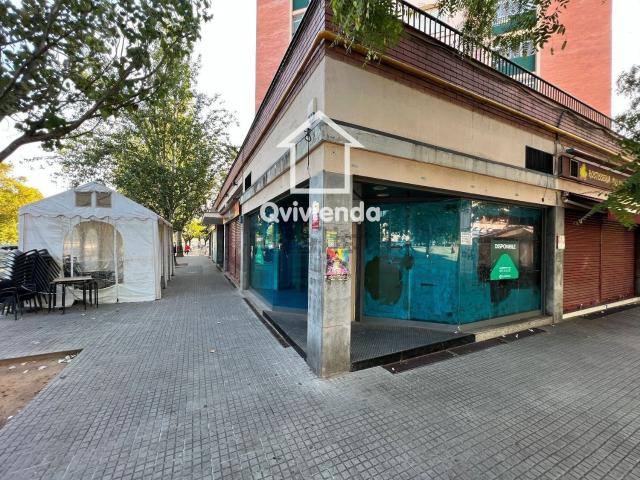Local, Cerdanyola del Vallès