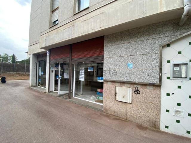 Local, Cerdanyola del Vallès
