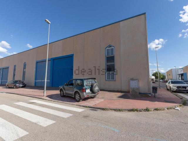 Local, Cijuela