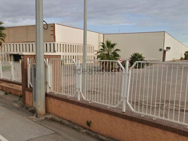 Local, Ciutat del Transport La Salera, Castellón de la Plana / Castello de la Plana