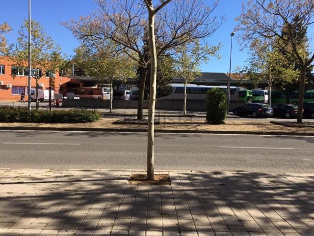 Local, Ciudad Real