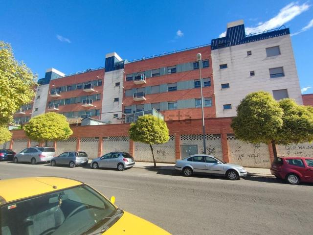 Local, Ciudad Real