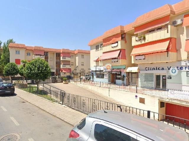 Local, Ciudad Real