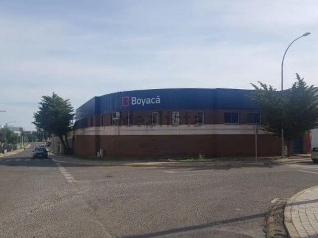 Local, Ciudad Real