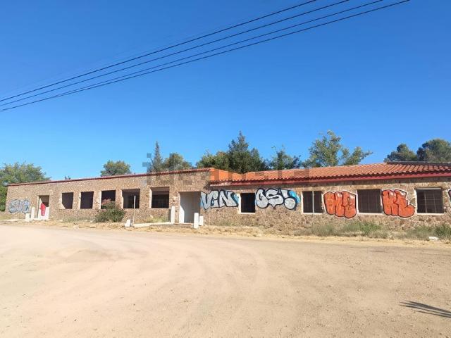 Local, Ciudad Real