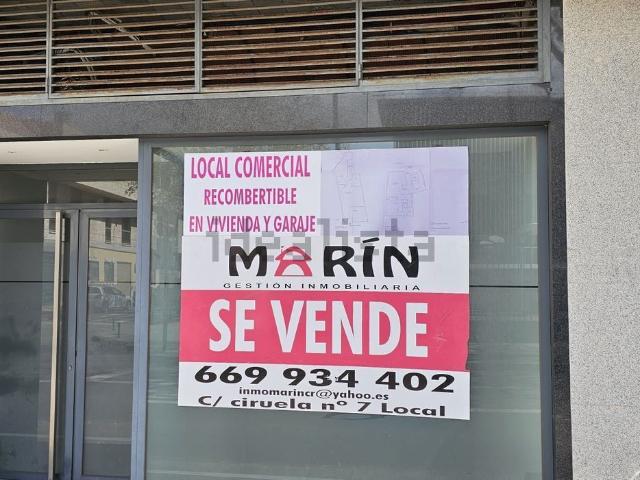 Local, Ciudad Real