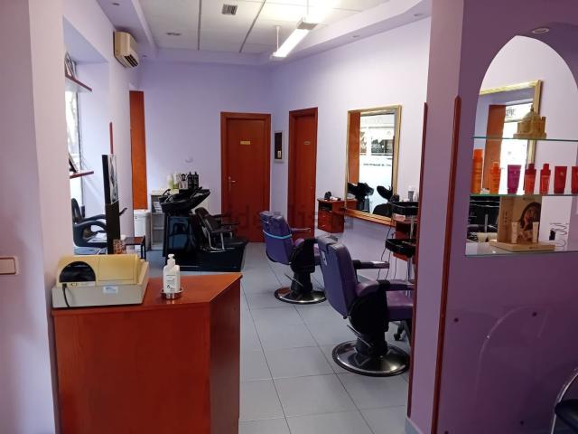Local, Ciudad Real