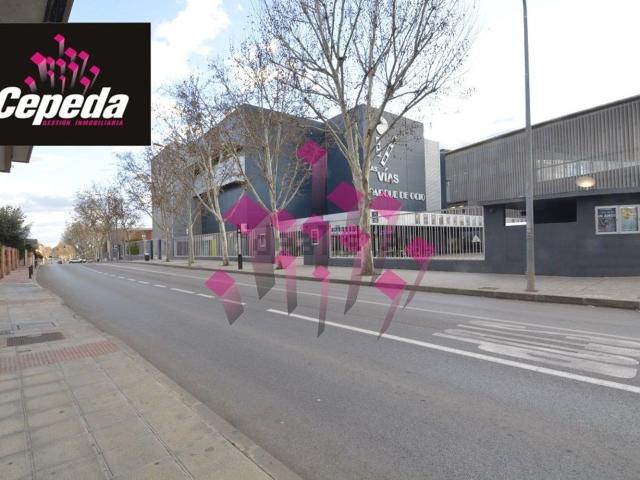 Local, Ciudad Real