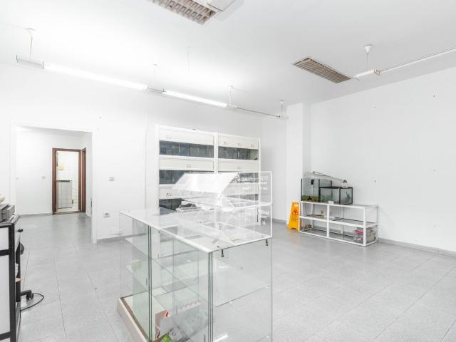 Local Comercial Céntrico en Calle Peatonal junto al Parque Jovellanos – Mieres