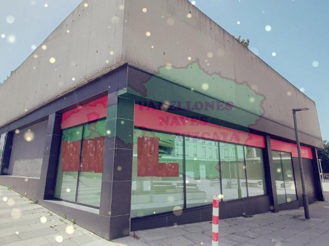 Local Comercial Alquiler Vizcaya