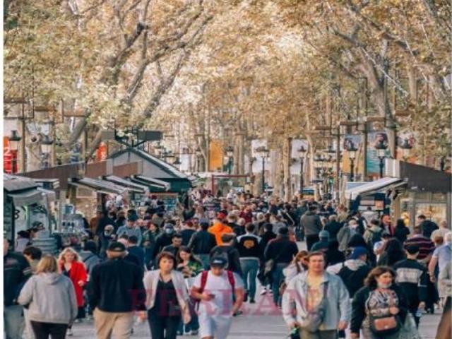 Local comercial en alquiler, carrer banys nous, Barcelona
