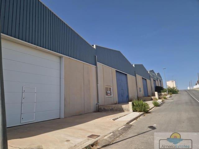 Local Comercial en alquiler en Cantoria, Almería