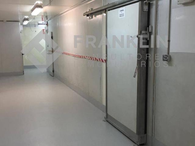 Local comercial en Alquiler en Creu de Barberà