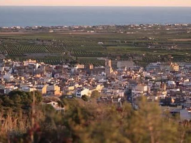 Local comercial en Alquiler en Alcanar
