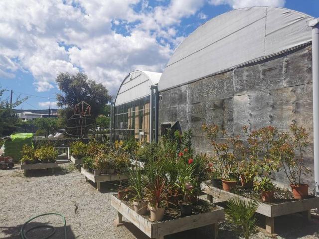 Local comercial en Alquiler en Òdena