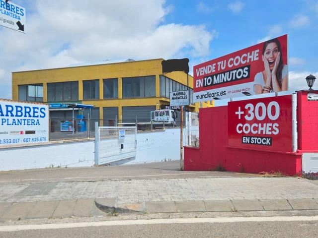 Local comercial en Alquiler en Mas Florit Ca la Guidó