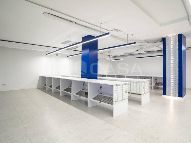Local comercial en Alquiler en Sagrada Família