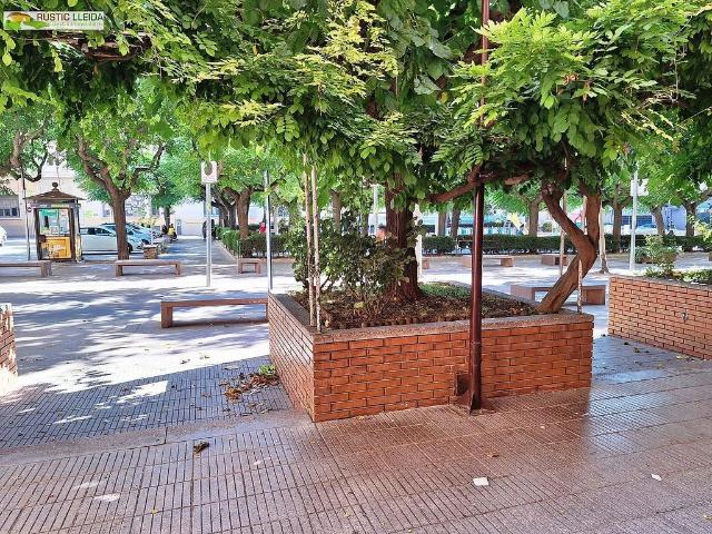 Local comercial en alquiler en Tàrrega, de 20 m² por 285