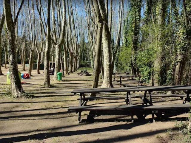 Local comercial en Alquiler en Vallgorguina