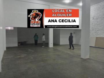 LOCAL COMERCIAL EN AVENIDA PRINCIPAL