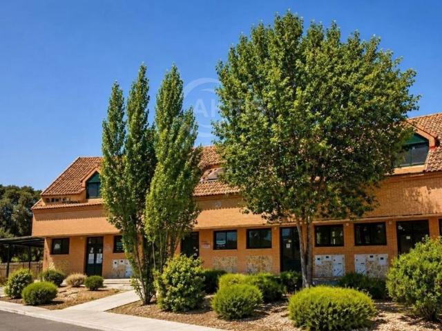 Local Comercial en Escalona